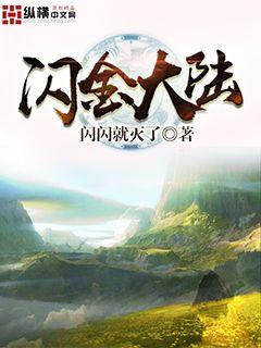 闪金大陆小说全集免费阅读全文