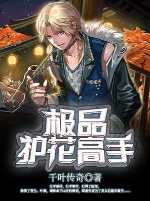 护花高手在都市无删减