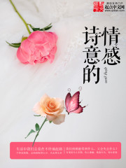 比较诗意的小说