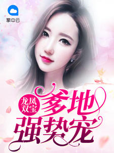 龙凤双宝:爹地强势宠江可心霍景琛