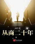 从商二十年 小说