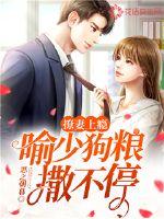 撩妻上瘾:喻少狗粮撒不停小说在线阅读