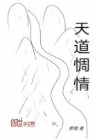 天道情缘
