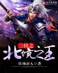 三国之北境之王