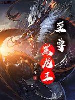 至尊龙婿黑羽令全文阅读