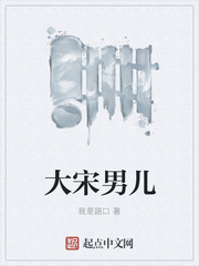 大宋男儿小说在线阅读免费