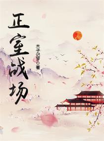 正室战场小说阅读免费下载