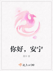 安宁领导你好