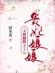 贵妃娘娘又被翻牌子了小说全集免费观看