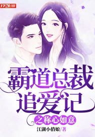 霸道总裁追爱记1