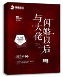与大佬闪婚以后 百度网盘