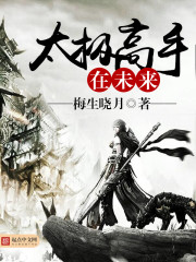 太极高手在未来小说免费阅读无弹窗