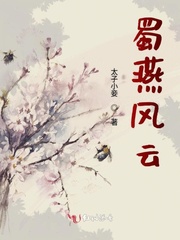 蜀燕风云小说免费阅读全文