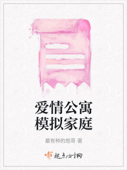 爱情公寓模拟家庭