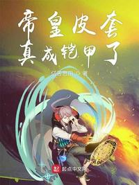 帝皇皮套真成铠甲了txt小说免费阅读全文