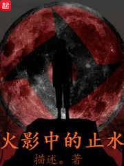 火影之止水传说