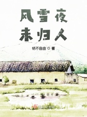 风雪未归人 逆水寒