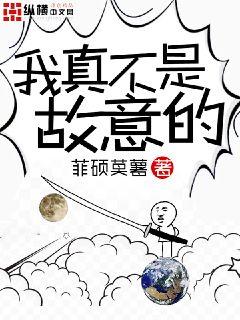 我不是故意死盾的小说