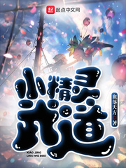 小精灵武道免费阅读无弹窗