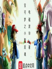 宝可梦小智穿越小说免费