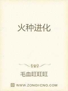 火种进化txt下载