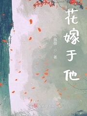 花嫁小说noahyhz百度云