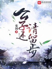 公子还请留步txt