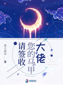 大佬你的马甲又掉啦