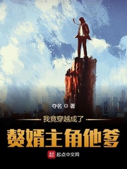 穿越到赘婿的位面小说