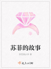 苏菲的故事读后感300字