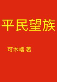 平民王妃免费阅读