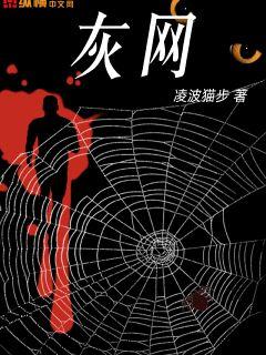 灰网电视剧全集25