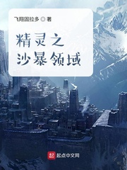 精灵之沙暴领域下载