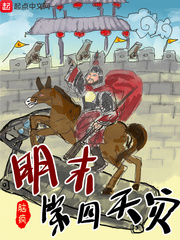 明末第四天灾类似