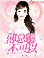高调宠婚全文