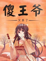 傻王爷是哪部电视剧