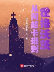 从阿兹卡班到霍格沃茨txt下载