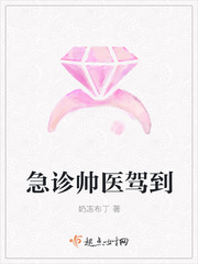 急诊科医生之圣手 小说