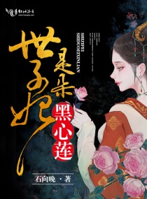 世子妃她是朵黑心莲小说人物关系表