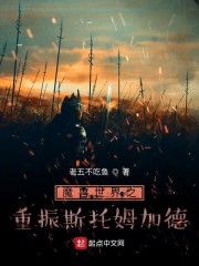 魔兽世界之重振斯托姆加德下载