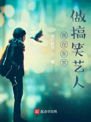 提灯系列和破云系列