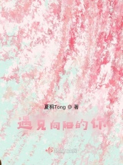 遇见向阳的你小说阅读免费全文