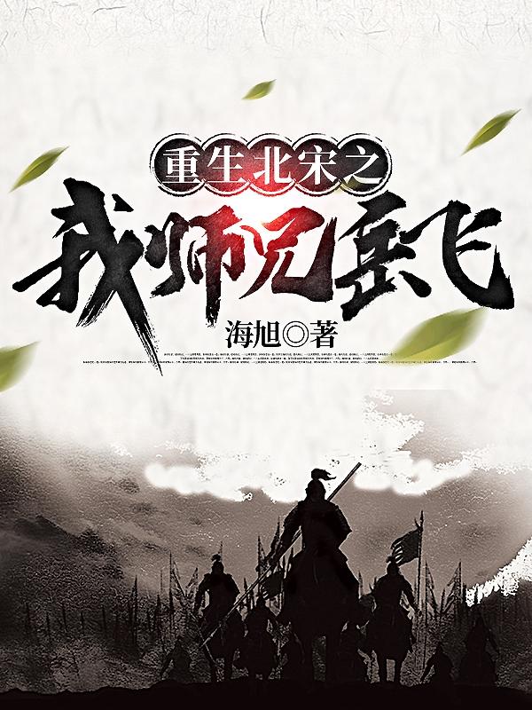 岳飞重生南宋小说