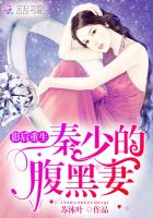 重生影后之秦总