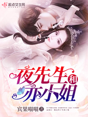 夜先生和亦小姐小说全本在线阅读