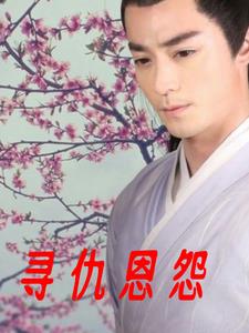 寻仇的拼音