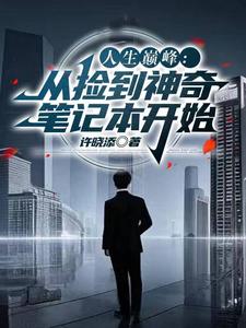 人生巅峰:从捡到神奇笔记本开始