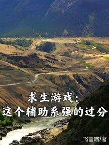 求生游戏:这个辅助系强的过分