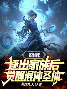 高武:逐出家族后,觉醒混沌圣体