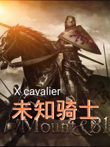 未知骑士小说全文免费阅读